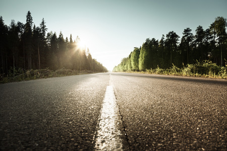 road in summer forestの写真素材