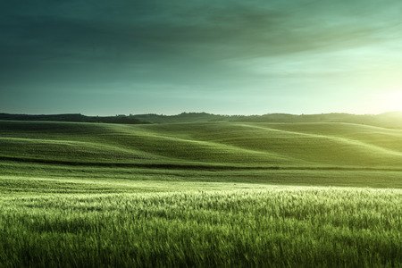tuscany sunset, Italyの写真素材