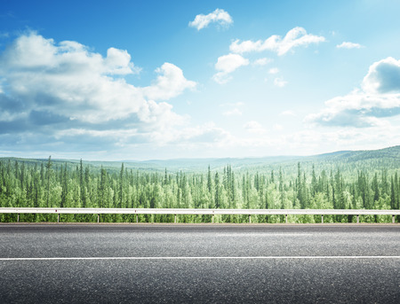 road in summer forestの写真素材