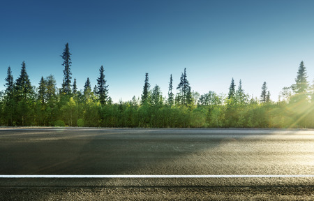 asphalt road in forestの写真素材