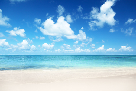 sand of beach caribbean sea