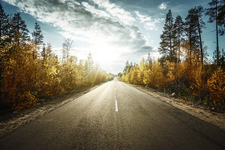 road in autumn  mountainsの写真素材