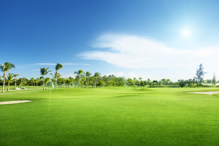 golf courseの写真素材