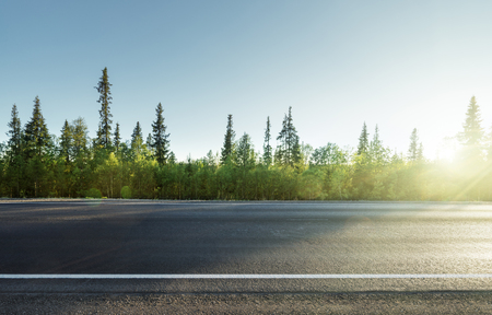 road in north mountain forestの写真素材