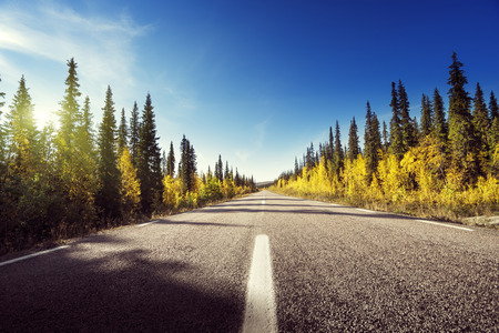 Road in autumn forest, Swedenの写真素材