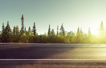 road in north mountain forestの写真素材
