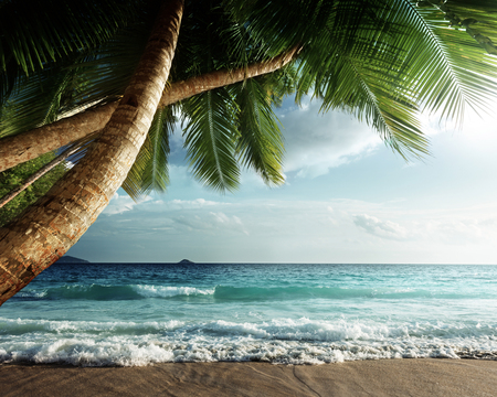 sunset on Seychelles beachの写真素材