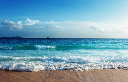 seychelles beach in sunset timeの写真素材