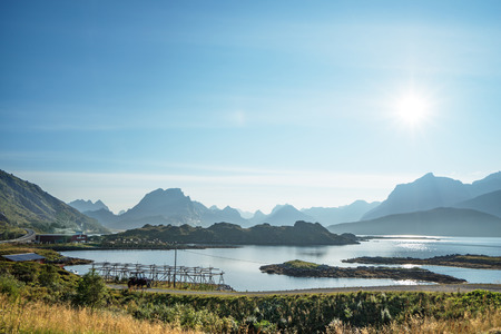 ground road, Lofoten islands, Norwayの写真素材
