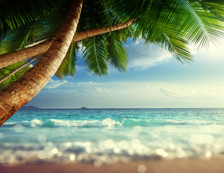 sunset on Seychelles beach, tilt shift soft effectの写真素材