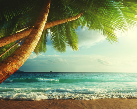 sunset on Seychelles beachの写真素材