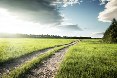 ground road and field of spring grassの写真素材