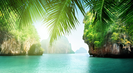 tropical sea and rocksの写真素材