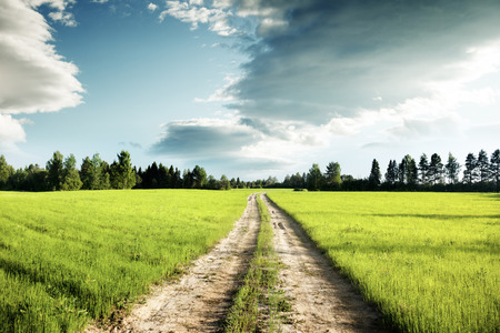 ground road and field of spring grassの写真素材