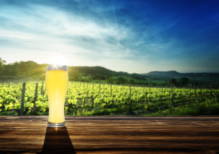beer and vineyard in sunset timeの写真素材