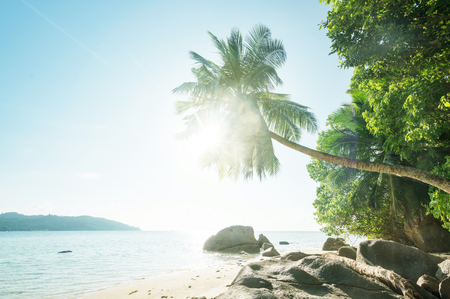 early morning, Seychelles beachの写真素材