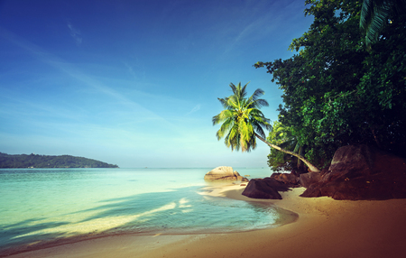 early morning, Seychelles beachの写真素材