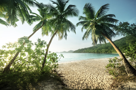 sunset on the beach Takamaka, Mahe island, Seychellesの写真素材