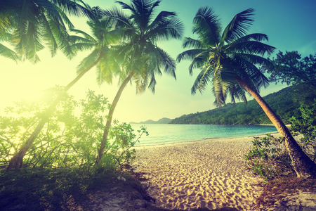 sunset on the beach Takamaka, Mahe island, Seychellesの写真素材