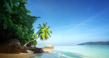 early morning, Seychelles beachの写真素材