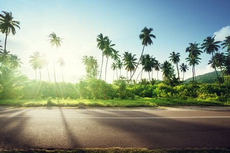 empty road in jungle of Seychelles islandsの写真素材