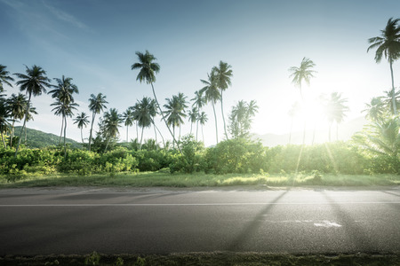 empty road in jungle of Seychelles islandsの写真素材