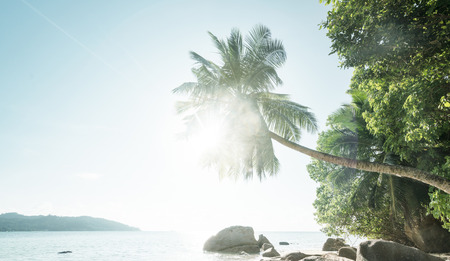 early morning, Seychelles beachの写真素材