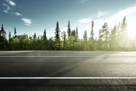 asphalt road in forestの写真素材