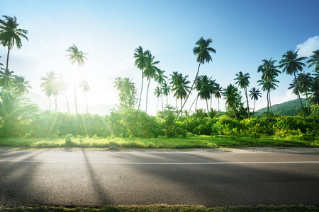 empty road in jungle of Seychelles islandsの写真素材