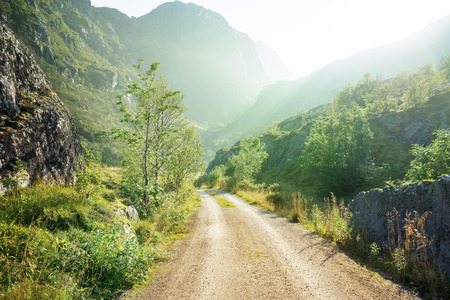 ground road in mountain, Lofoten islands, Norwayの写真素材
