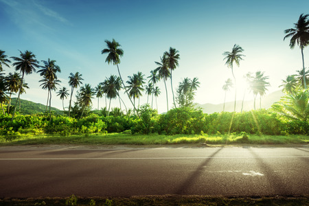 empty road in jungle of Seychelles islandsの写真素材