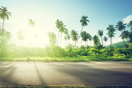 empty road in jungle of Seychelles islandsの写真素材