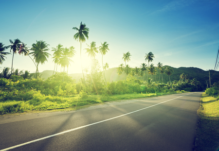 empty road in jungle of Seychelles islandsの写真素材