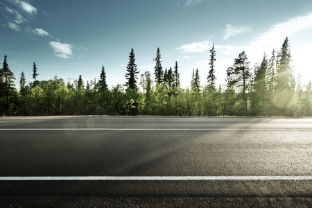 asphalt road in forestの写真素材