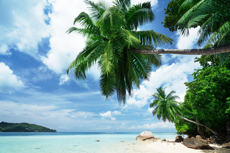 beach on Mahe island in Seychellesの写真素材