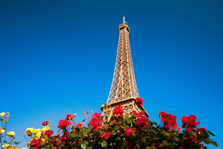 sunny morning and Eiffel Tower, Paris, Franceの写真素材