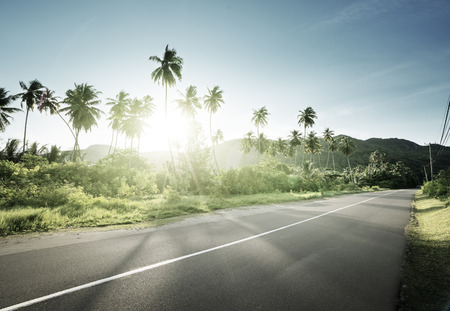 empty road in jungle of Seychelles islandsの写真素材
