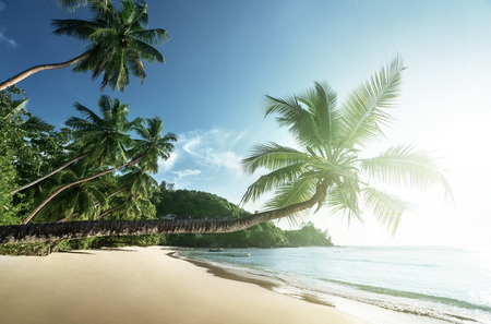 sunset on the beach, Mahe island, Seychellesの写真素材