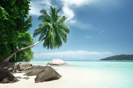 beach on Mahe island in Seychellesの写真素材