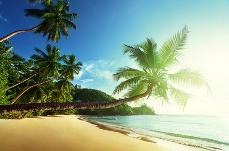 sunset on the beach, Mahe island, Seychellesの写真素材