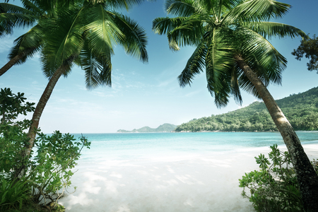 beach Takamaka, Mahe island, Seychellesの写真素材
