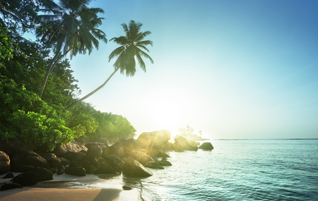 sunset on the beach, Mahe island, Seychellesの写真素材