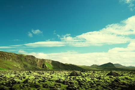 volcanic mossy landscape, Icelandの写真素材