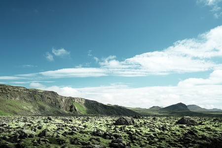 volcanic mossy landscape, Icelandの写真素材
