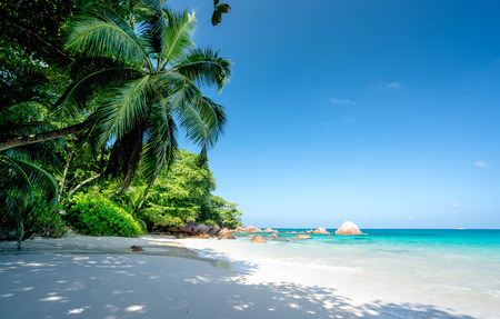 Anse Lazio beach, Praslin island, Seychellesの写真素材