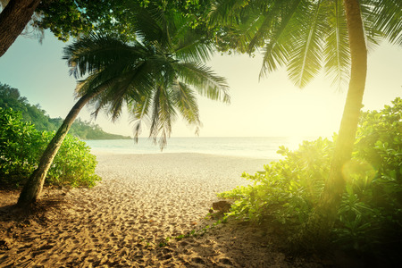 sunset on Seychelles beachの写真素材