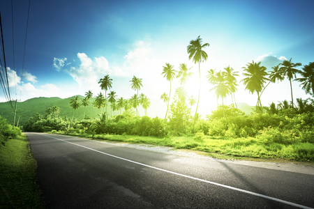 empty road in jungle of Seychelles islandsの写真素材