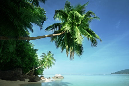 beach, Mahe island, Seychellesの写真素材