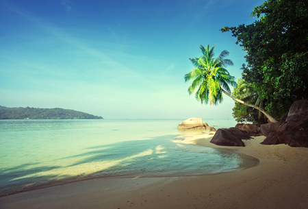 beach on Mahe island, Seychellesの写真素材