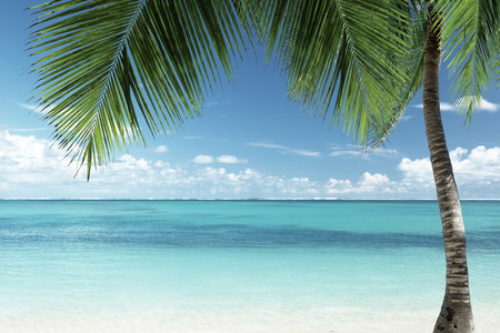 Caribbean beachの写真素材